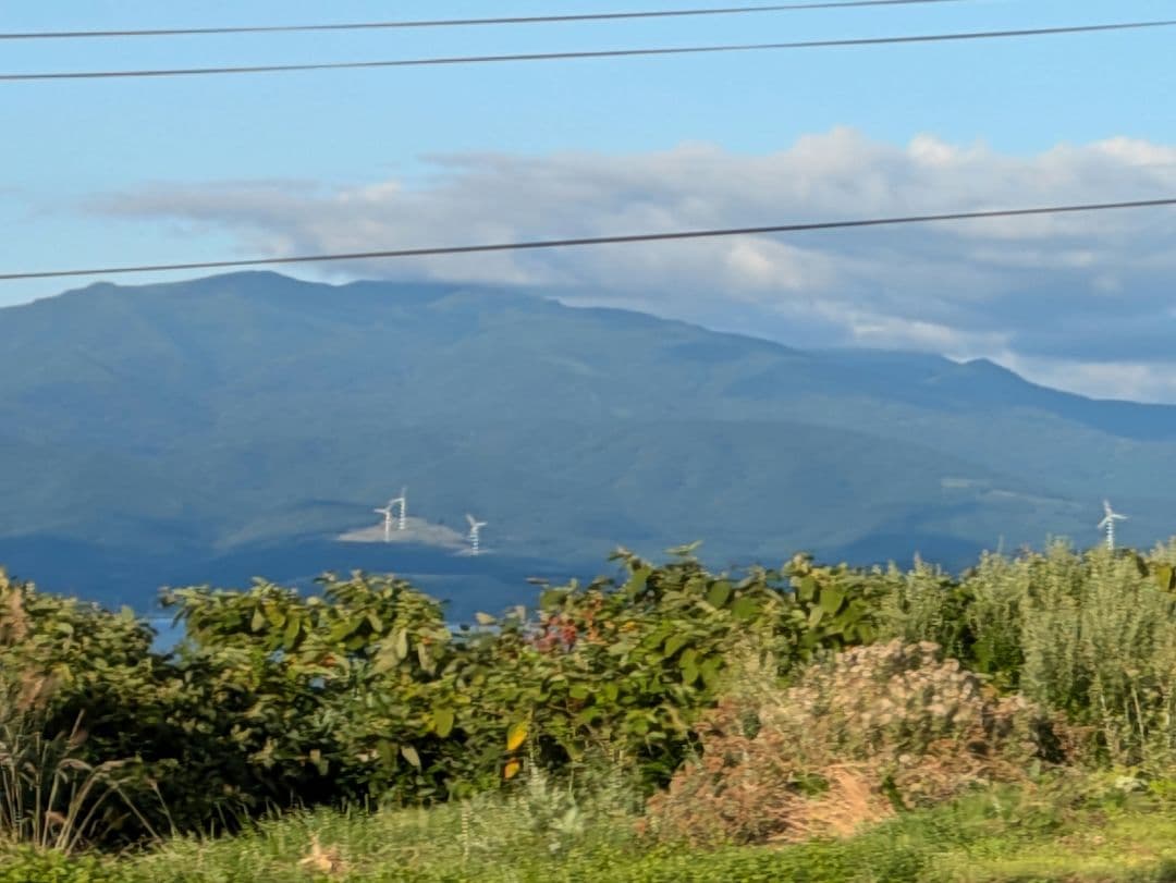 北海道道の駅ピンズゴールドピンズ2024年版 99種類早い物勝ち✨