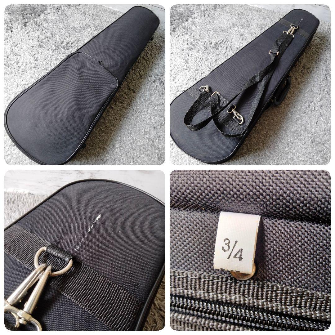 【美品】カルロジョルダーノ バイオリン VS-1 3/4 2016年製 ケース付