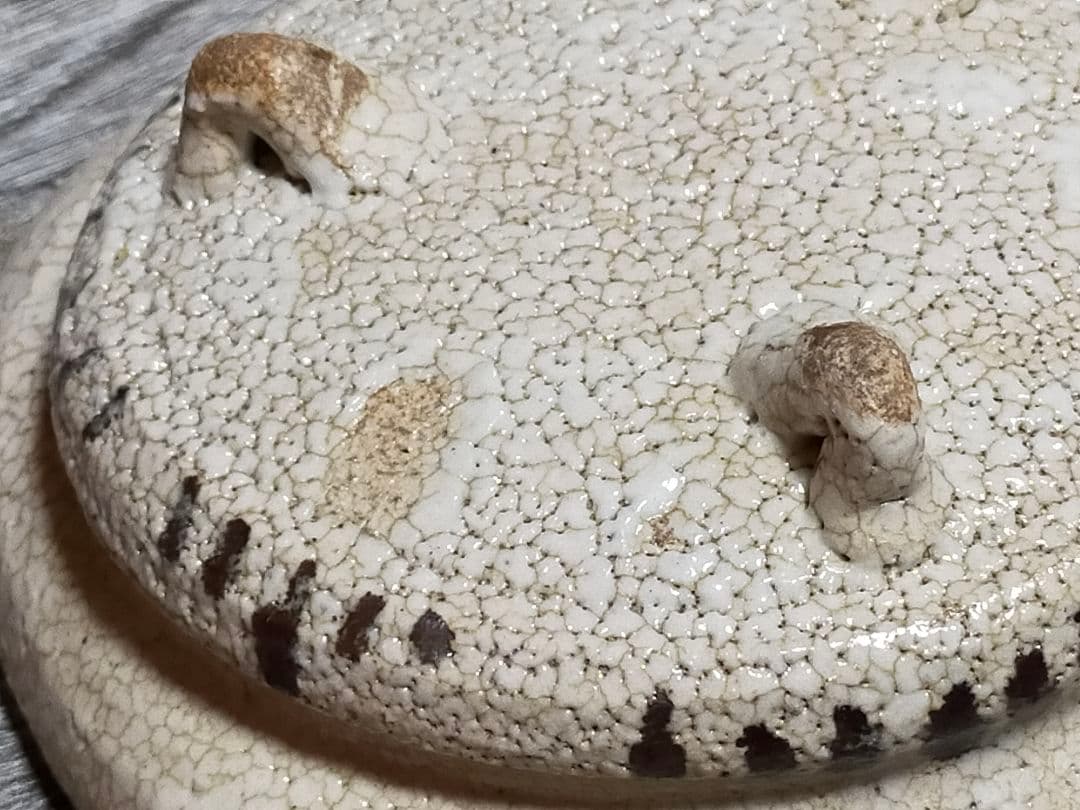 ♥美濃焼　志野　鉢　骨董品　アンティーク