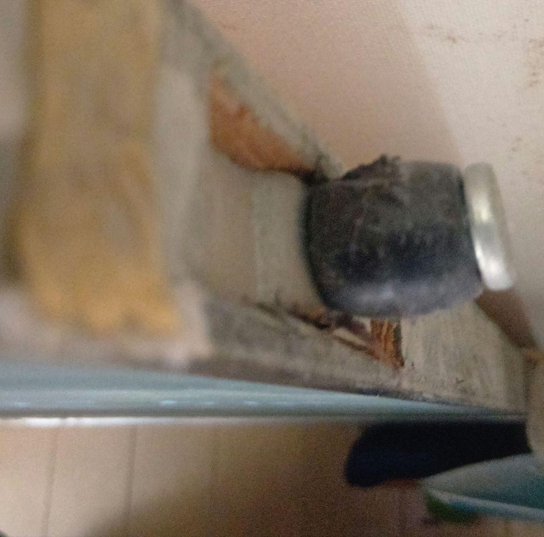 学校用黒板　木製　廃校になった学校で実際に使われていたもの　2