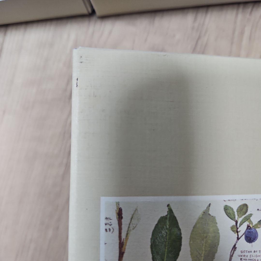 星野道夫著作集 全5巻セット