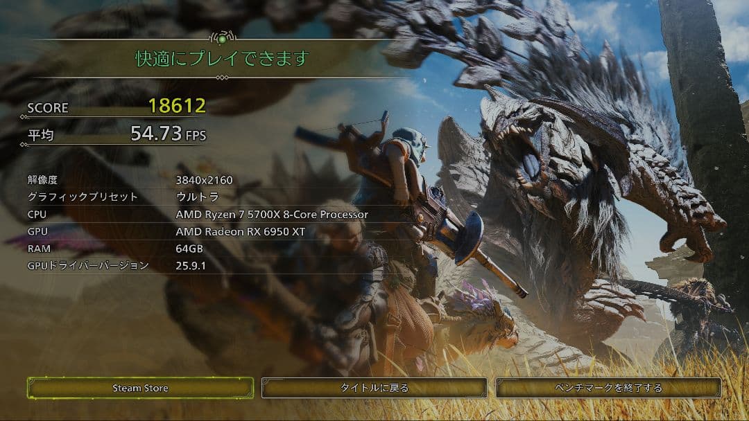 グラフィックボード・グラボ・ビデオカード 6950XT