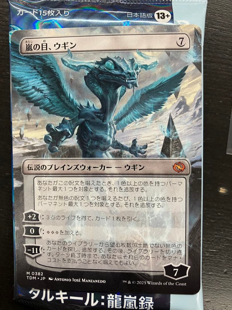 嵐の目、ウギン　日本語　ボーダーレス　1枚