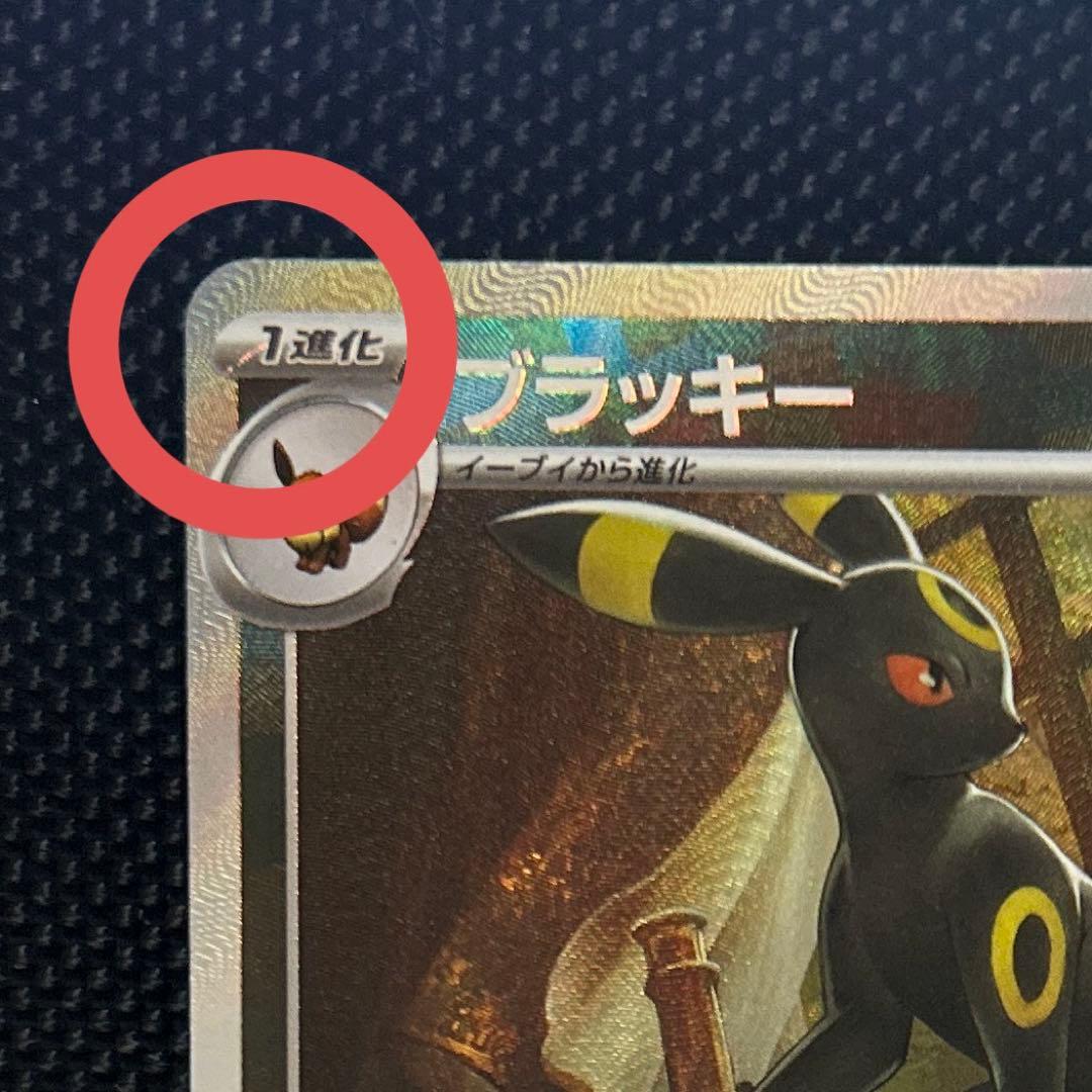 ブラッキー マスターボールミラー SV8a テラスタルフェスex 09