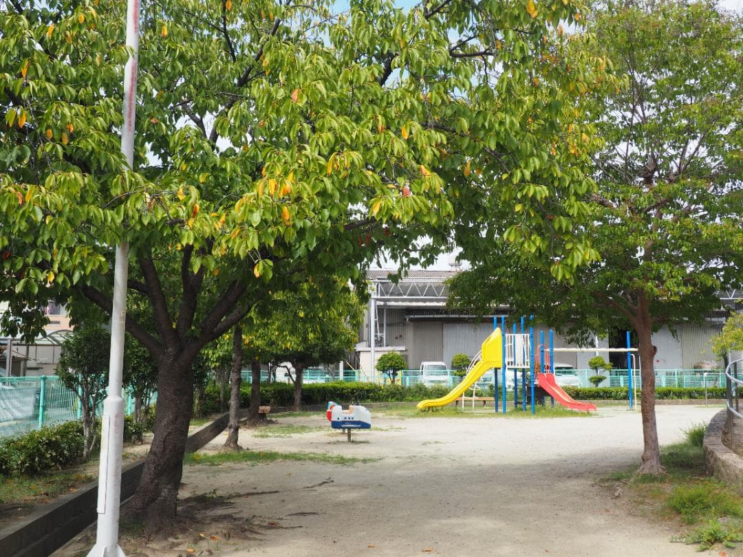 OLYMPUS OM-D E-M10 ダブルレンズキット スマホ転送OK