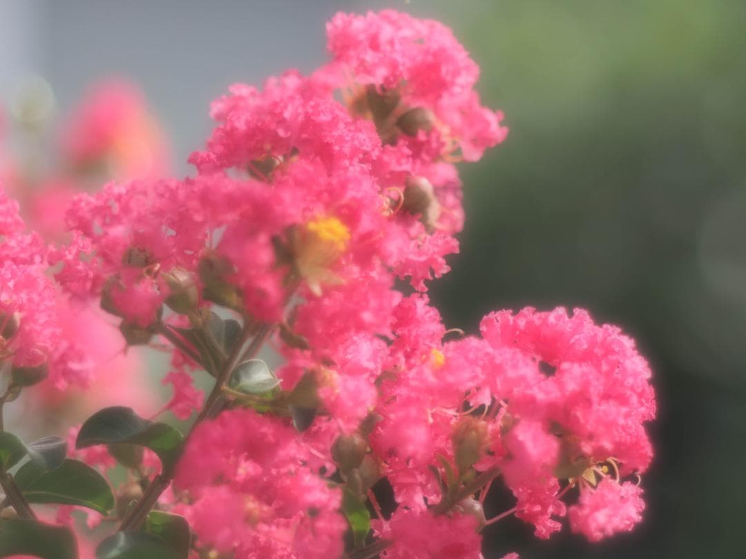 OLYMPUS OM-D E-M10 ダブルレンズキット スマホ転送OK