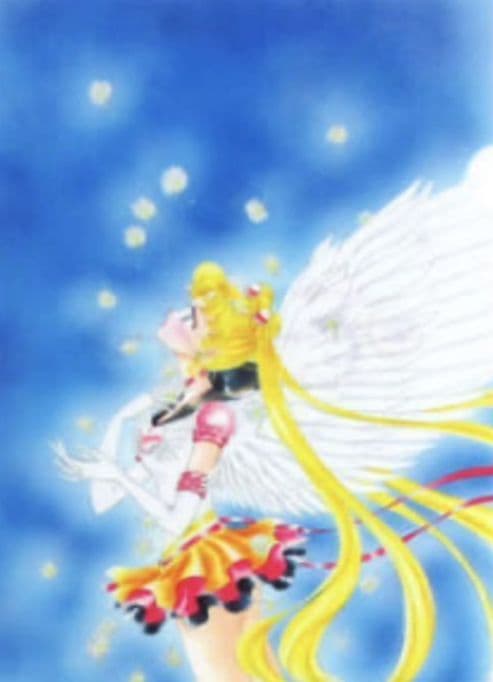 15550円 セーラームーン 12点 原画  ファイル レゾネ ミュージカル