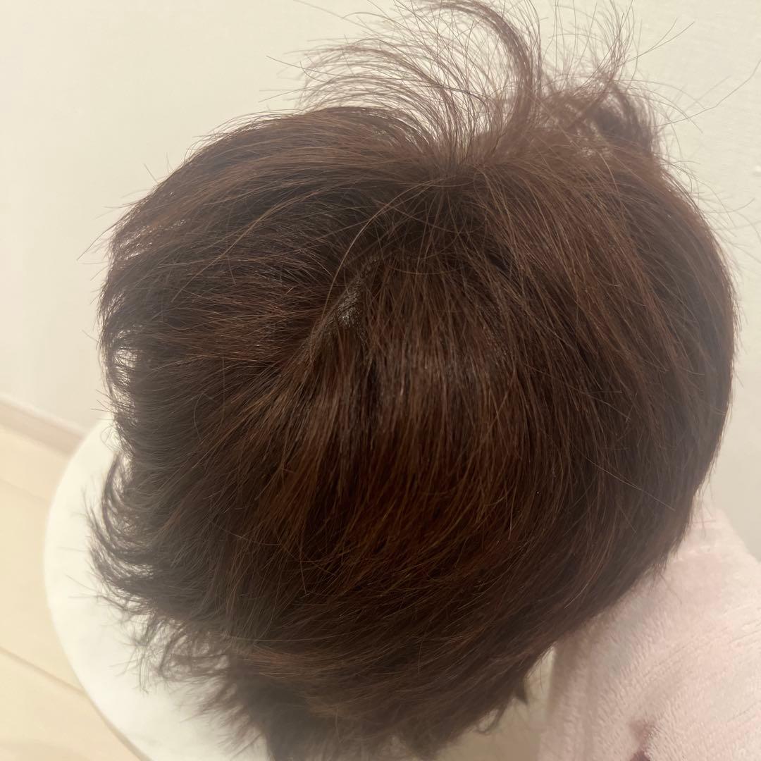 新品未使用　人毛100% ショートウィッグ