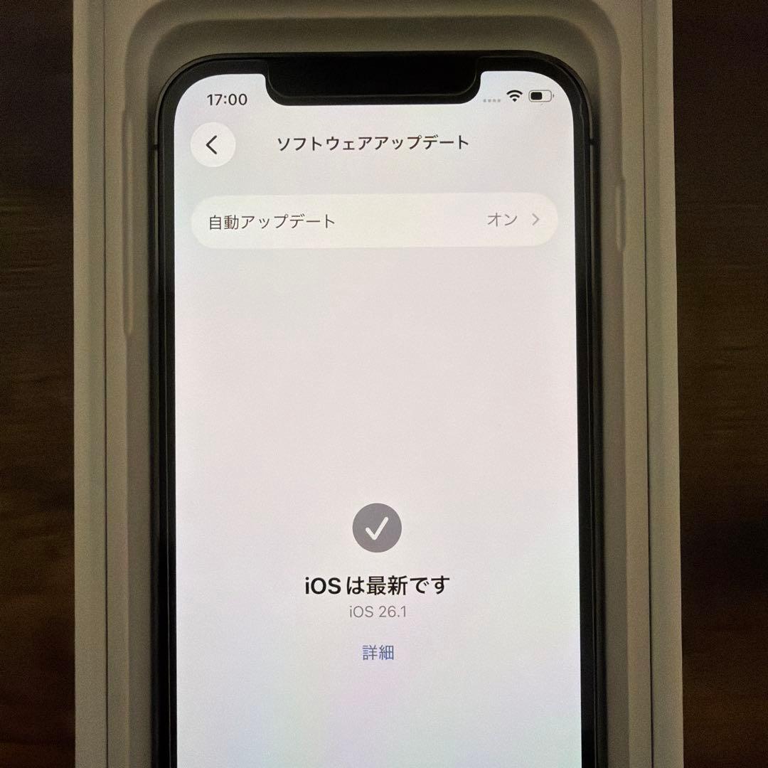 iPhone12Pro 256GB 純正イヤホン付き