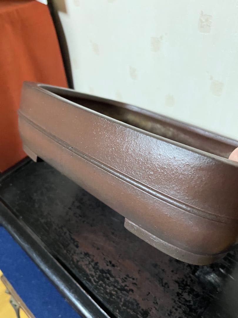 464 盆栽　盆栽鉢　植木鉢　和鉢　山秋