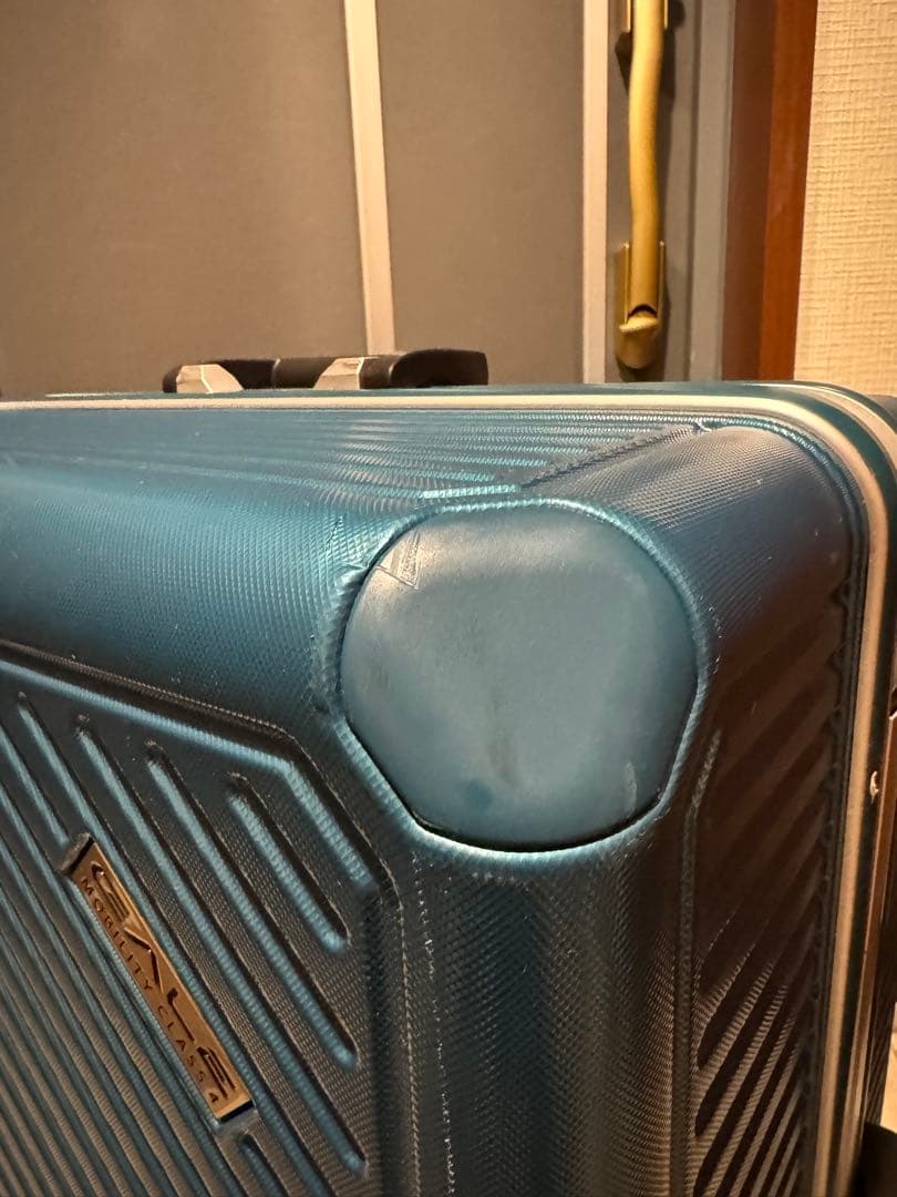 gale mobility class4 フレームタイプ スーツケース98L