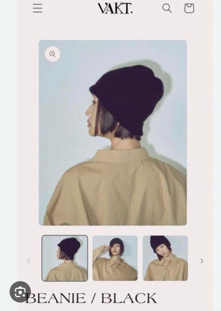 VAKT．バクト　BEANIE / BLACK 百々千晴 shishikui