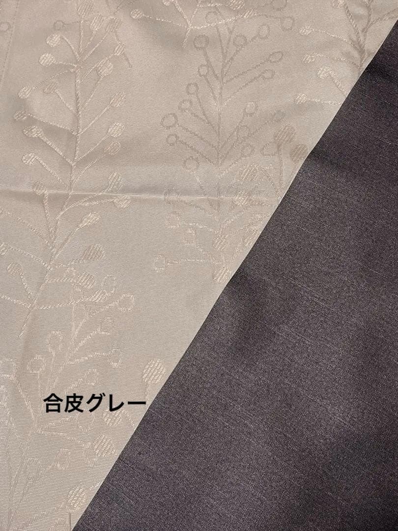 ことり様　鳥かごキャリーバッグ