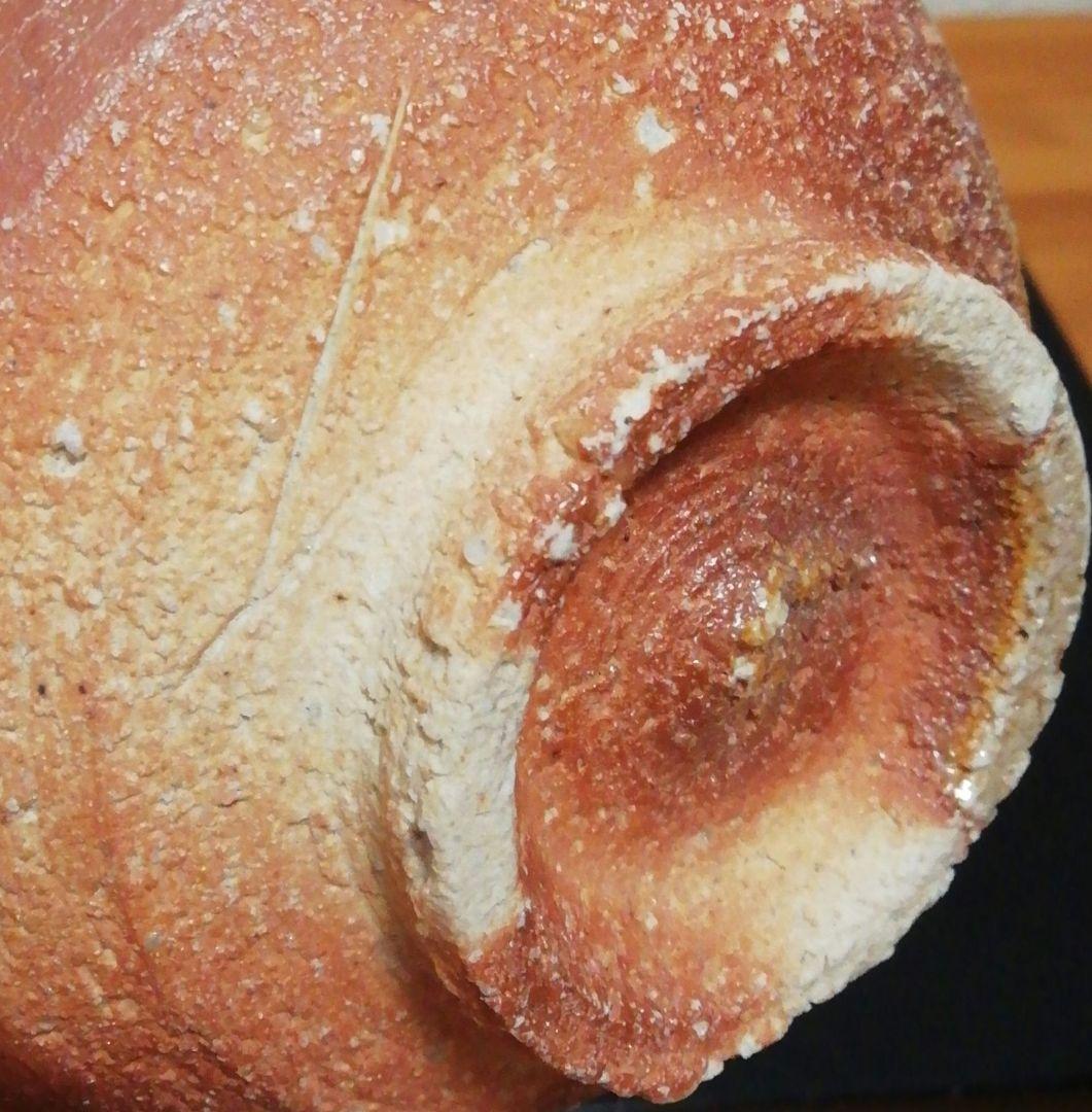 井村侊生作　信楽焼　茶碗　共箱　共布　略歴付　茶道具