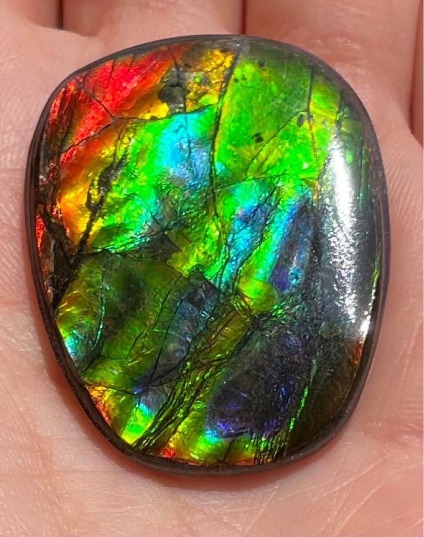 【期間限定セール】アンモライト レインボーカラー ルースストーン