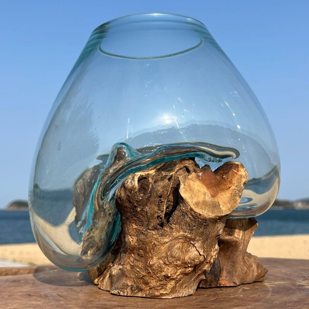 流木ガラス オブジェ特大D 花瓶 金魚鉢 ガーデニング テラリウム 観賞魚 容器