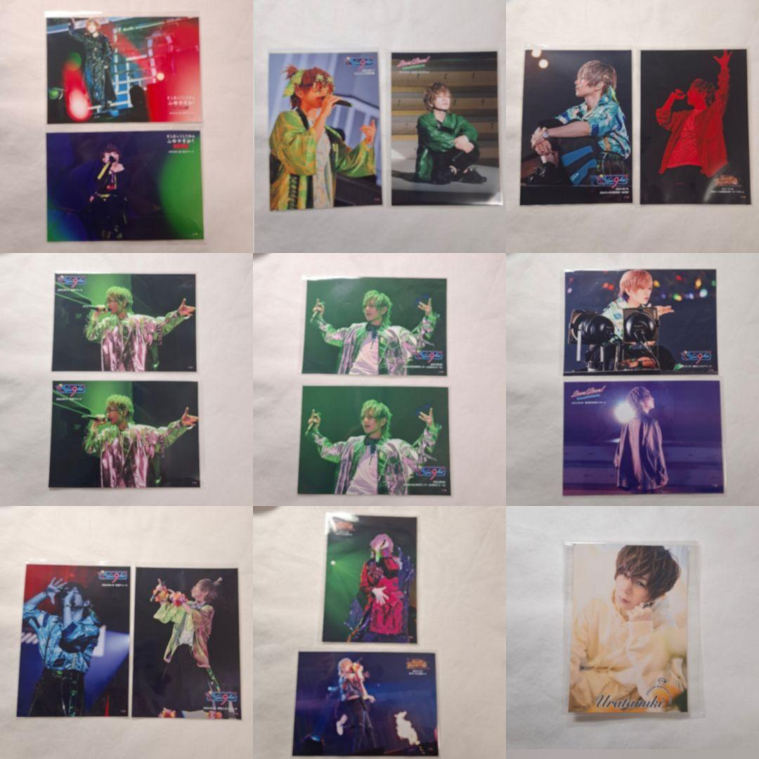 浦島坂田船 うらたぬき グッズ