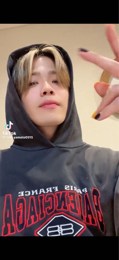 トップス BALENCIAGA Logo Embroidery Hoodie