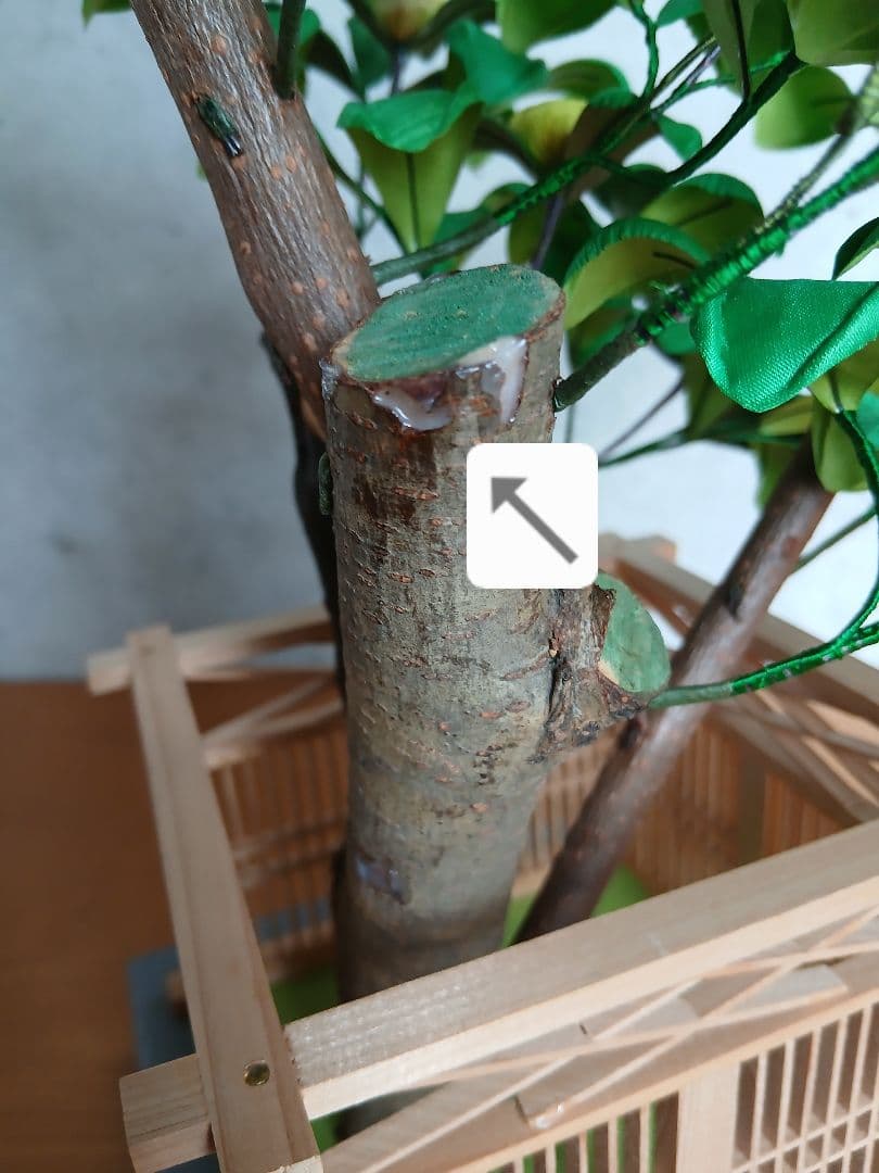 雛人形 桜橘 御殿飾 雲上流 672-101