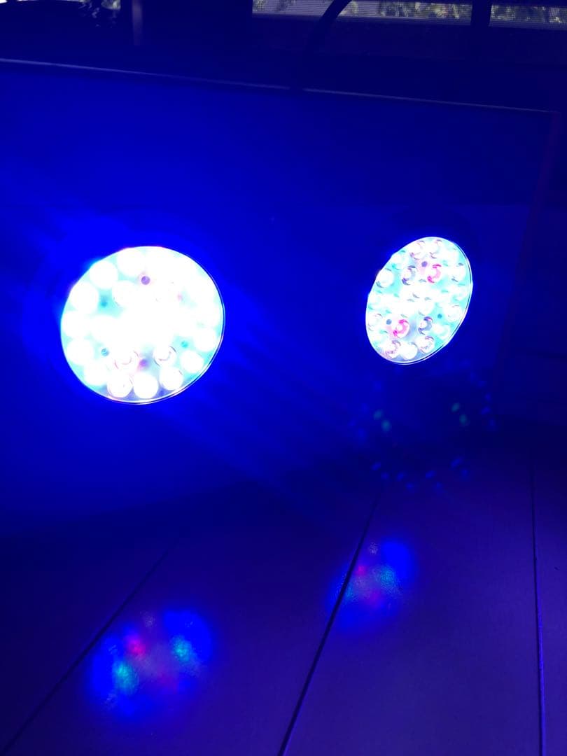 海水魚用品 NEMO LIGHT T140