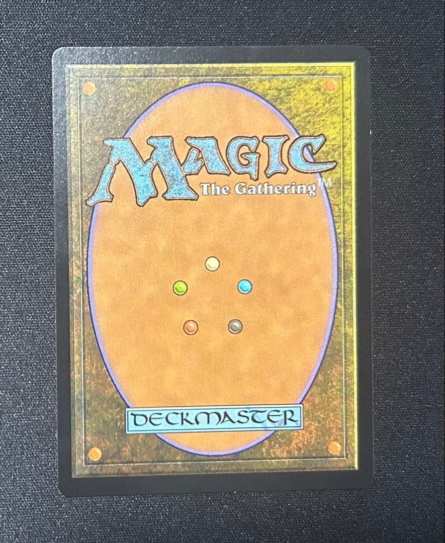 【2枚セット】湿地の干潟_FOIL_EXP