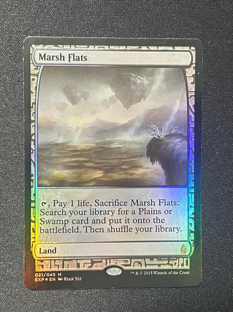 【2枚セット】湿地の干潟_FOIL_EXP