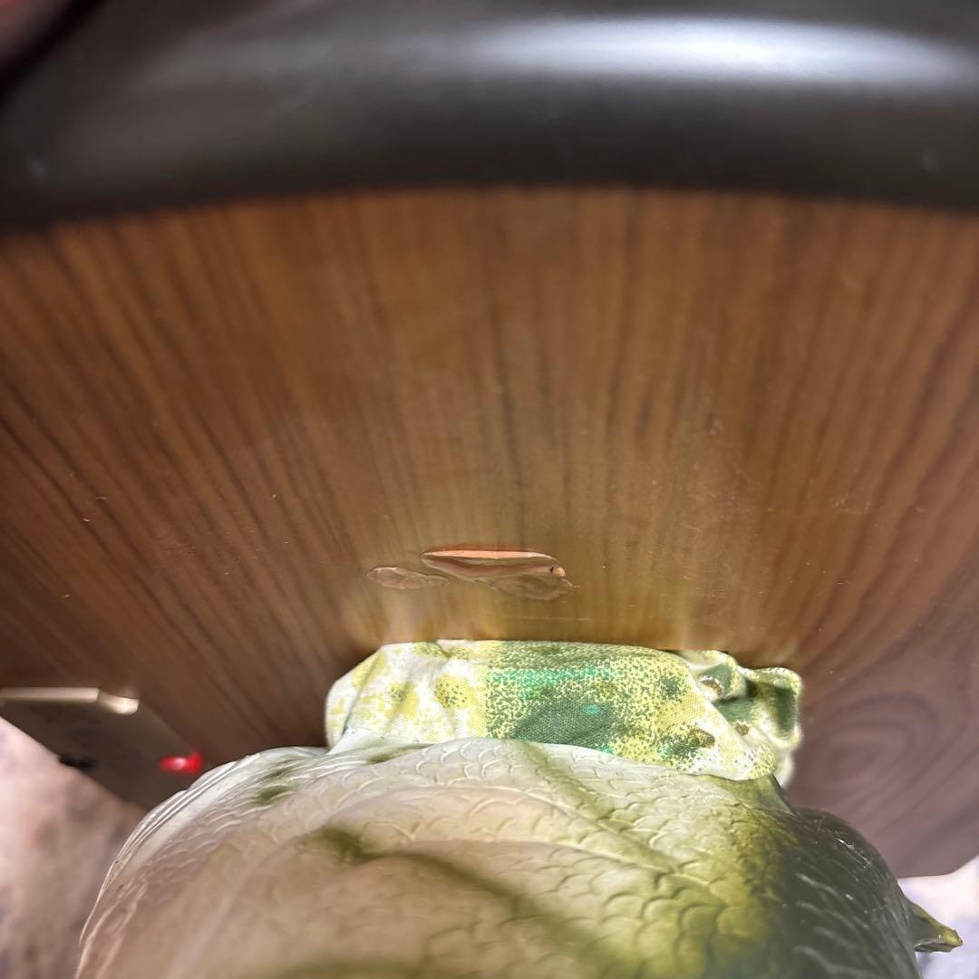 希少　BIG MOUTH BILLY BASS ブラックバス　singing