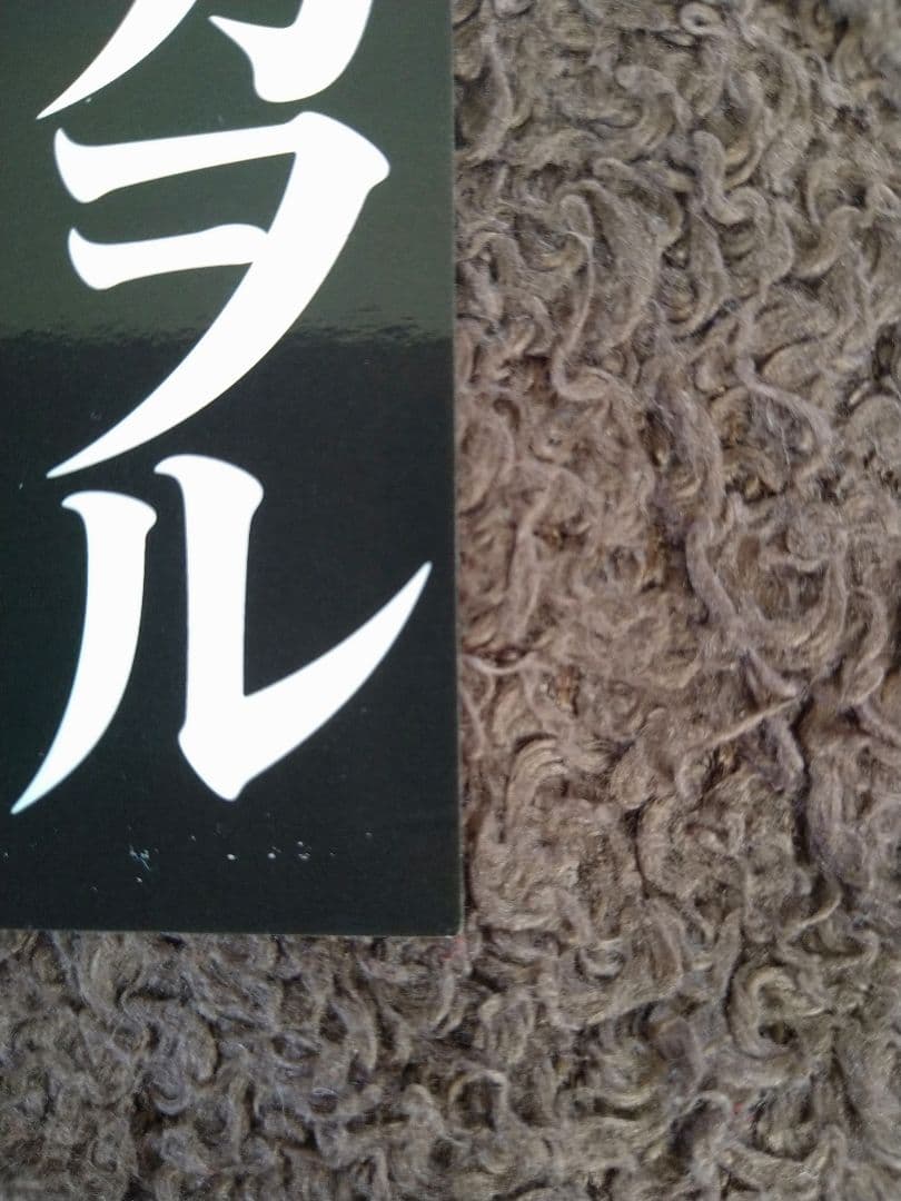 エヴァンゲリオン　カードダスマスターズ　抽プレ当選カード　渚カヲル　プラチナ