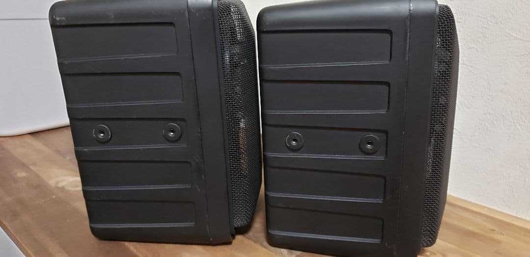 BOSE　101SD　2本かなり美品です。