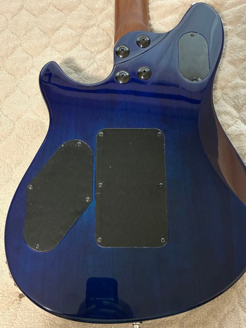 EVH Wolfgang WG Standard QM ★アップグレード