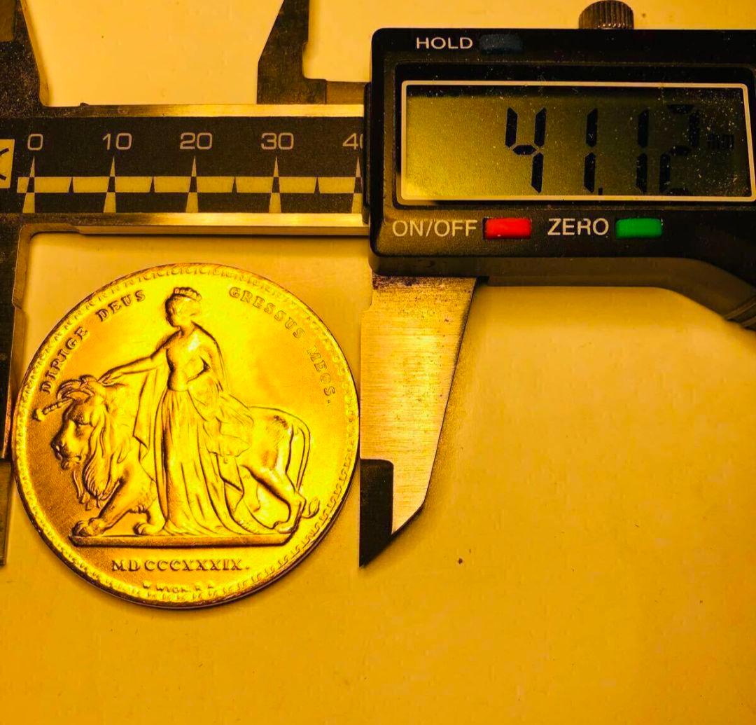 1889年　ヴィクトリア女王　ウナ＆ライオン 5ポンド　イギリス 骨董品