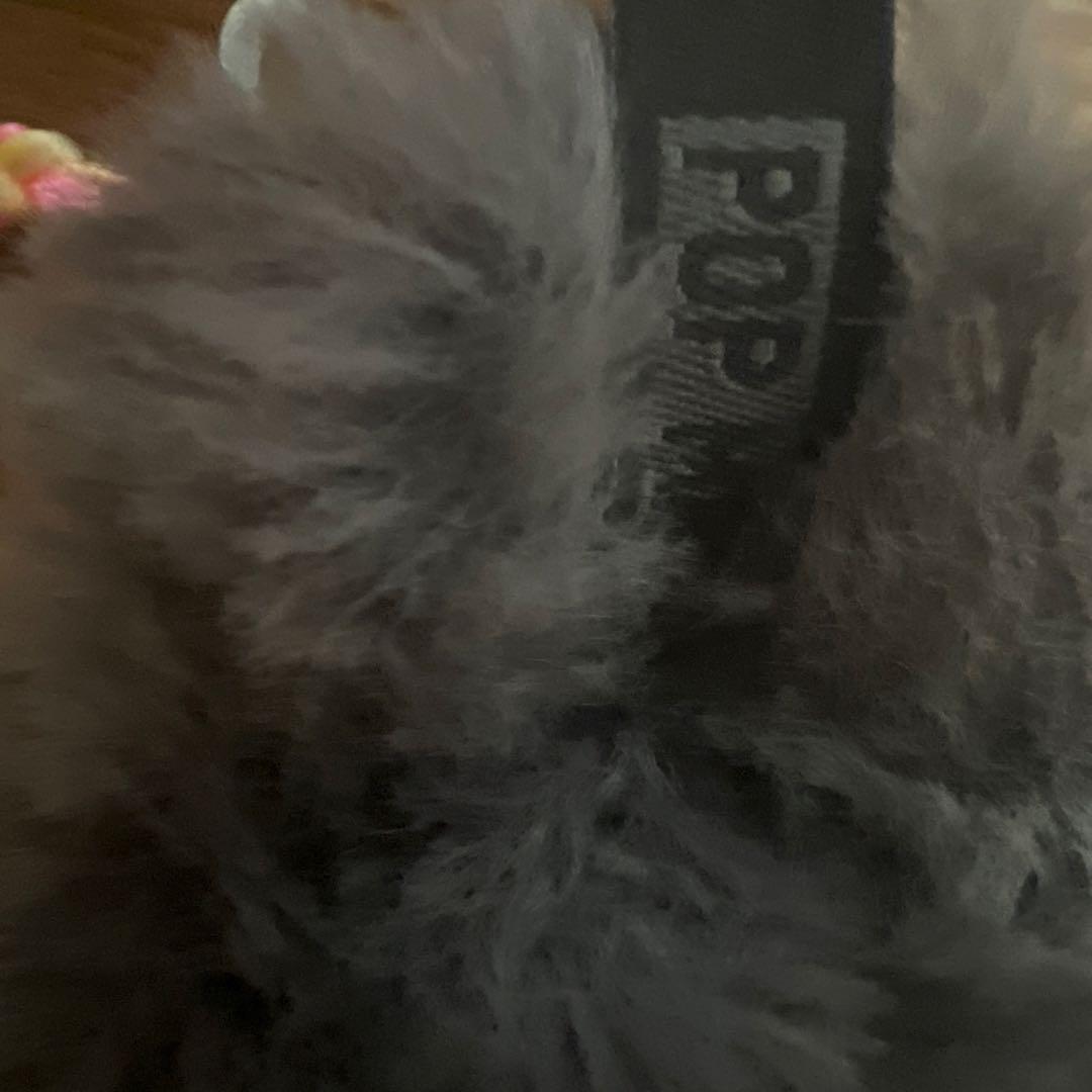 セ*ん様 【正規品】Labubu Big into Energy ラブブ シーク