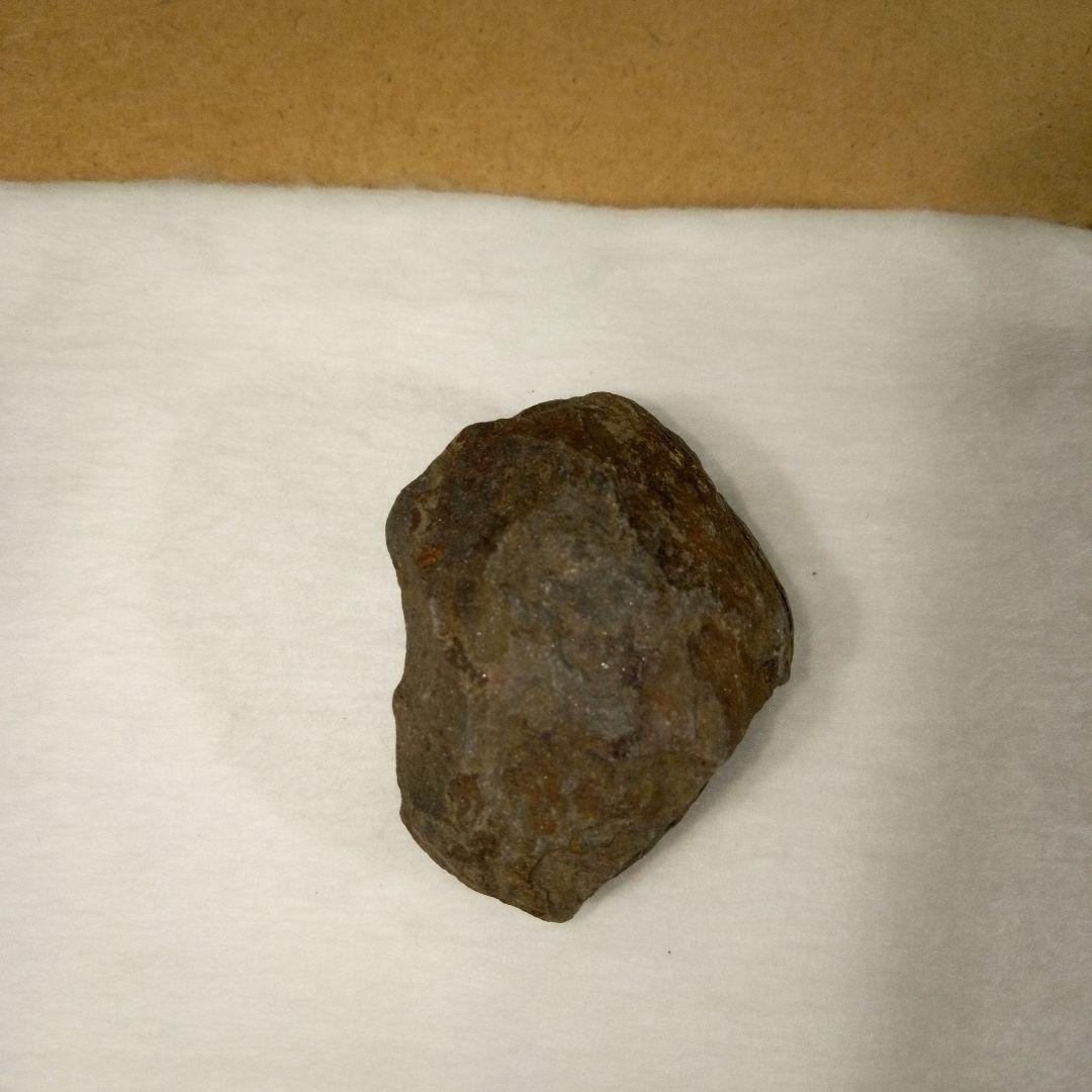 三葉虫　化石　三葉虫化石　究極のレトロ　fossil　ボリビア産　化石管理番号⑨