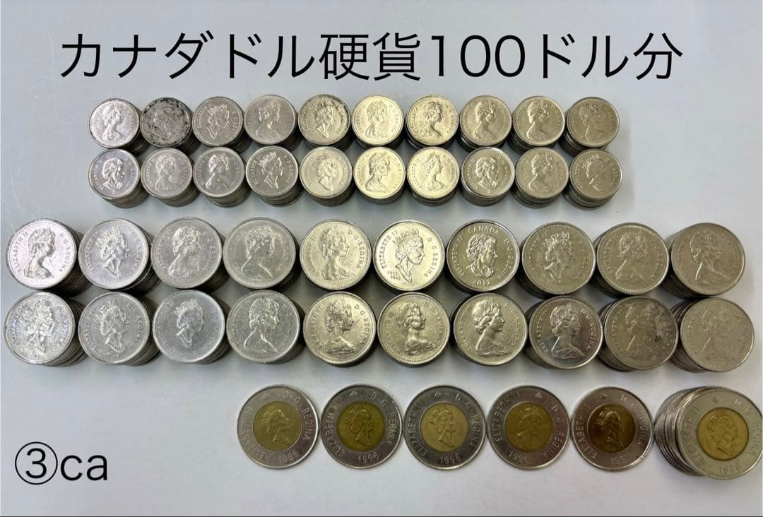 カナダドル硬貨＊100ドル分
