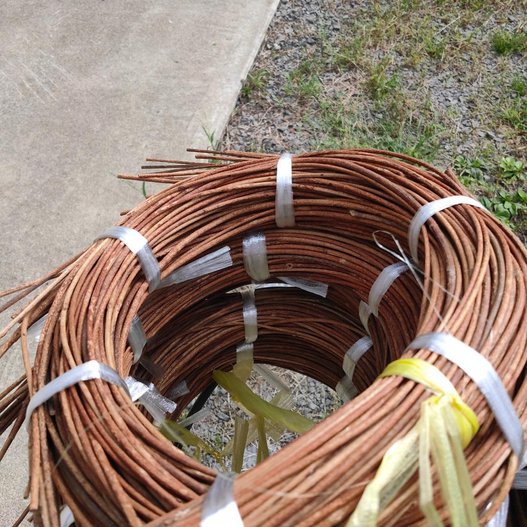 青森県岩木山採取　あけび蔓　70cm～150cm　5kg