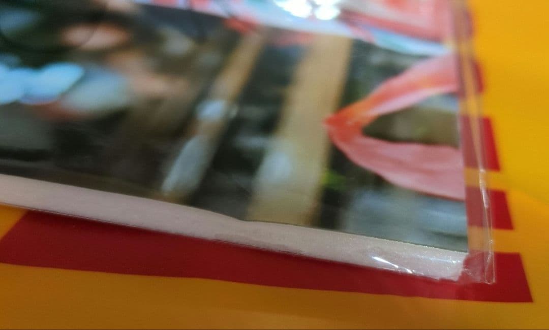 早川聖来 直筆サイン入りパネル