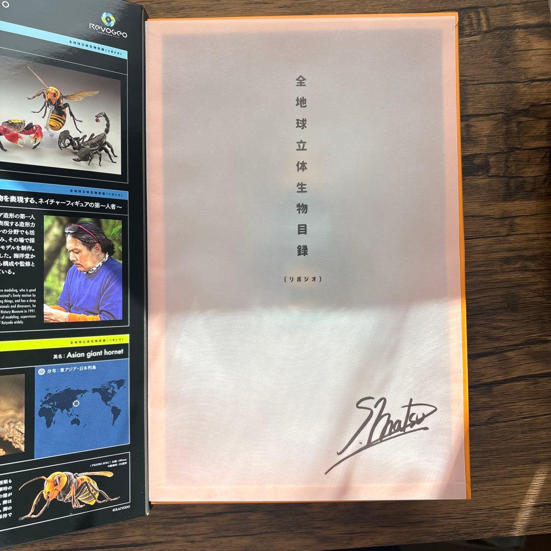 海洋堂 REVOGEO リボジオ オオスズメバチ