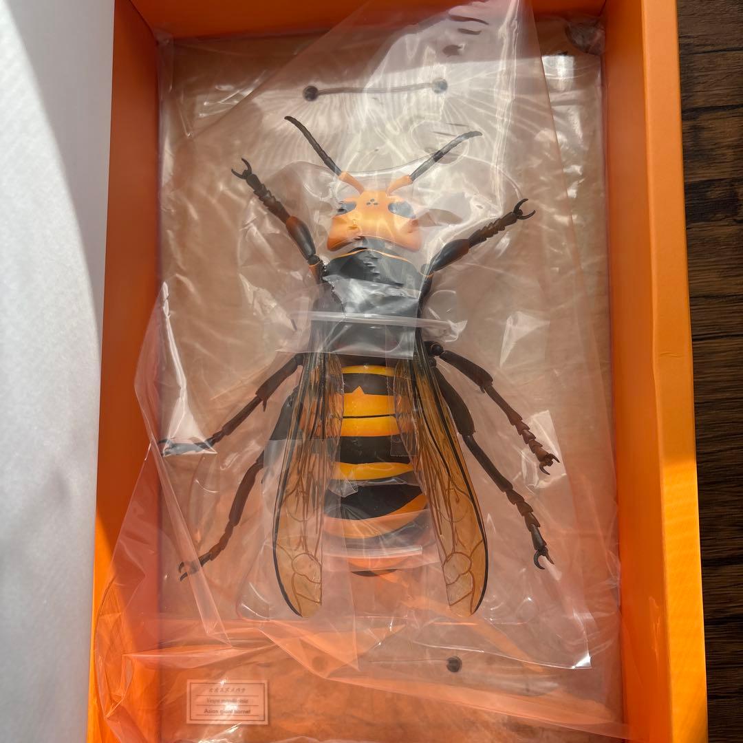 海洋堂 REVOGEO リボジオ オオスズメバチ