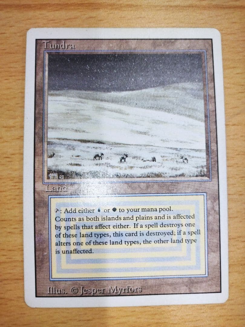 MTG 3ED リバイズド Tundra 1枚