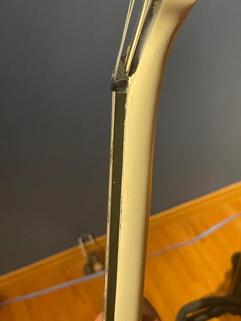 Aria Pro II TA-55　セミアコ？フルアコ？　希少動作品【最終特価】