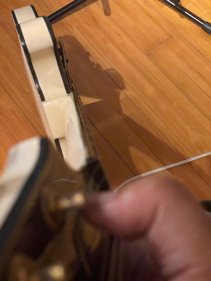 Aria Pro II TA-55　セミアコ？フルアコ？　希少動作品【最終特価】