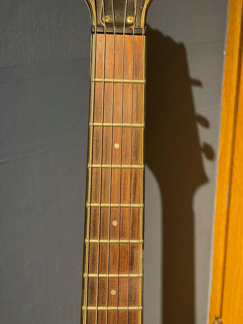 Aria Pro II TA-55　セミアコ？フルアコ？　希少動作品【最終特価】