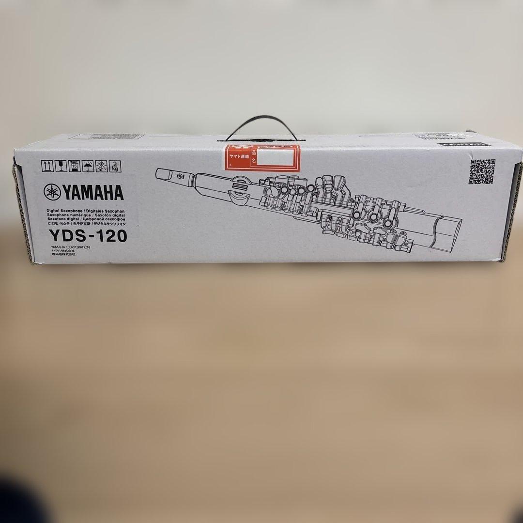 【ちーくん】YDS-120 本体、付属品完備、ストラップ、充電式電池箱付き