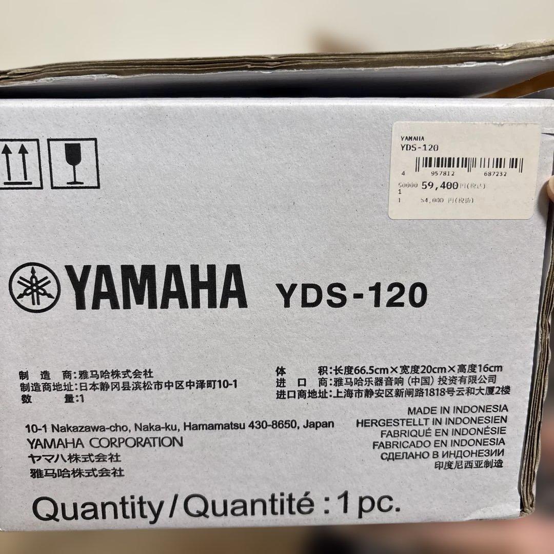 【ちーくん】YDS-120 本体、付属品完備、ストラップ、充電式電池箱付き