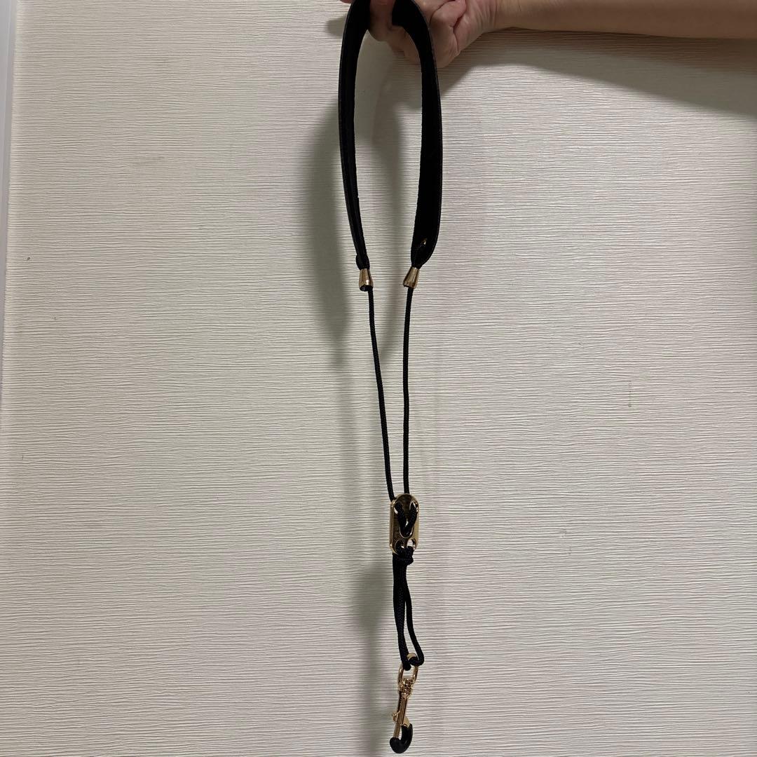 【ちーくん】YDS-120 本体、付属品完備、ストラップ、充電式電池箱付き