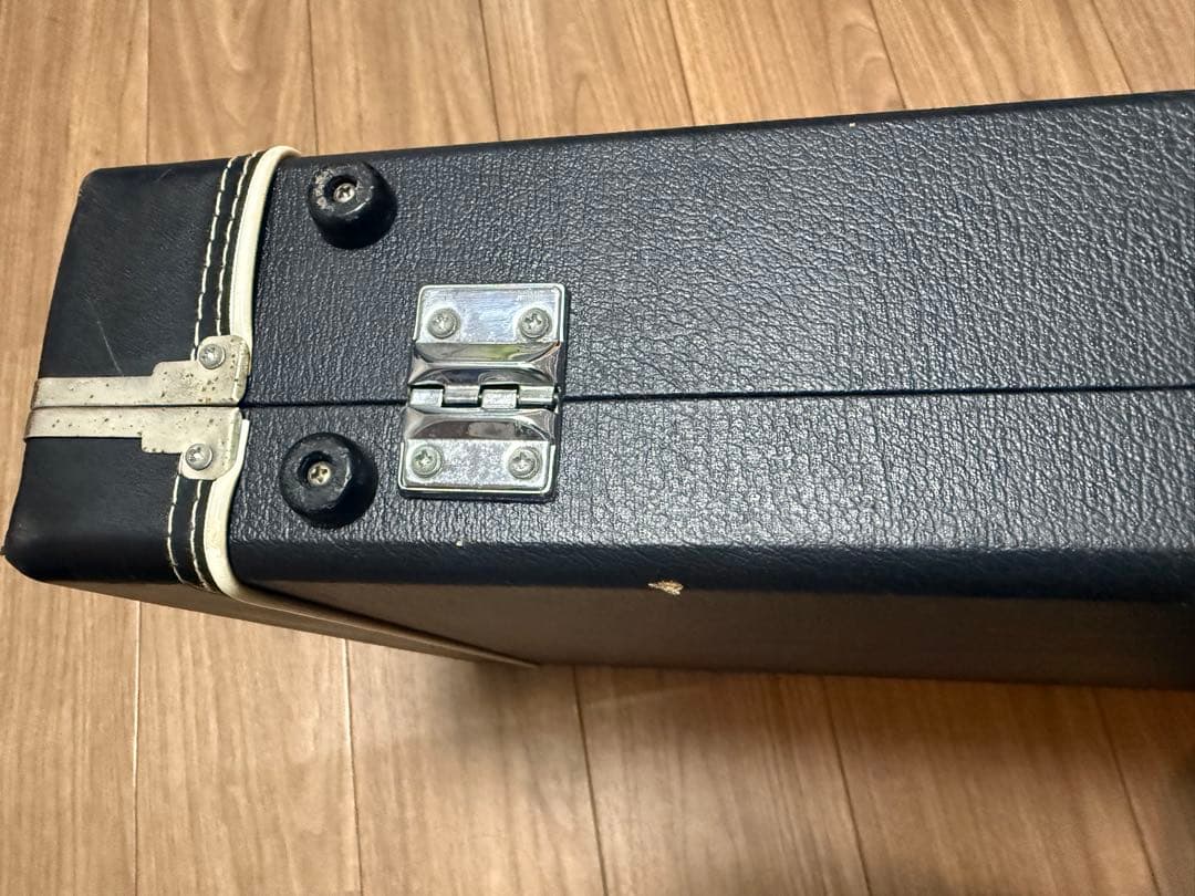 初期 FERNANDES MG用 ハードケース
