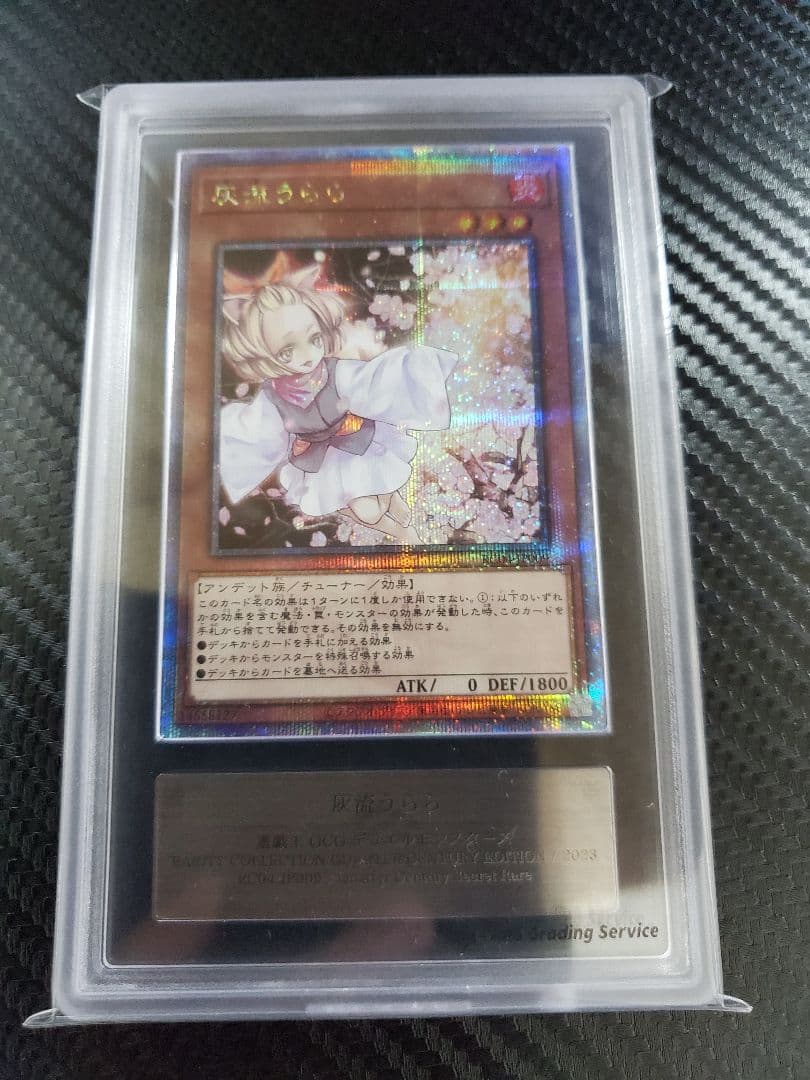 灰流うらら 25th ARS10 鑑定書なし