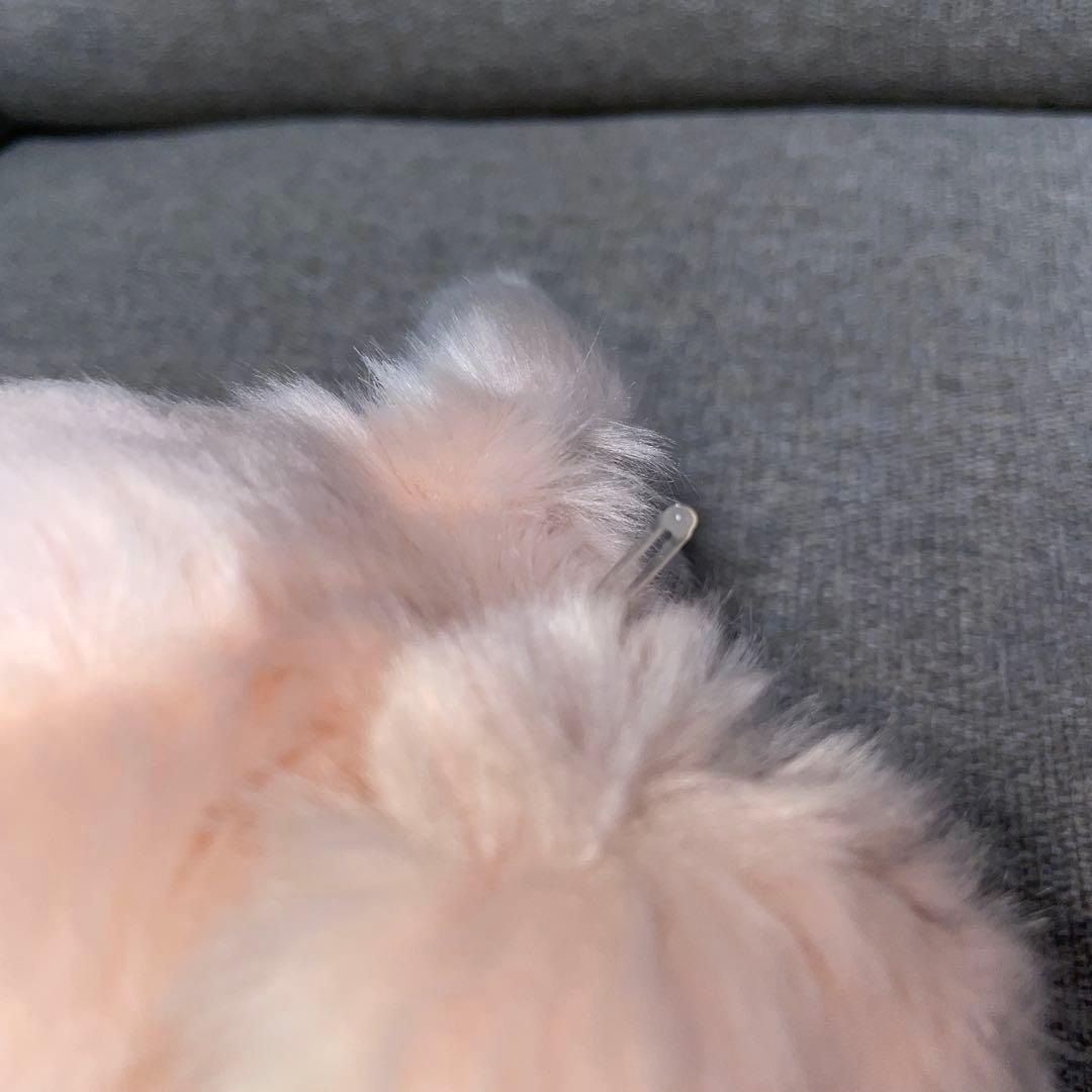 ハンド パペット チムたん モンチッチのおともだち