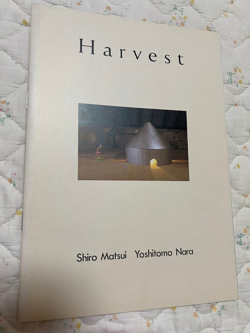 [貴重品] 奈良美智の古いフライヤーと古い展覧会案内冊子