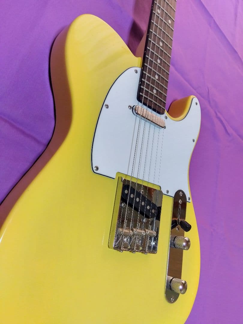 バッカス テレキャスター Universe series